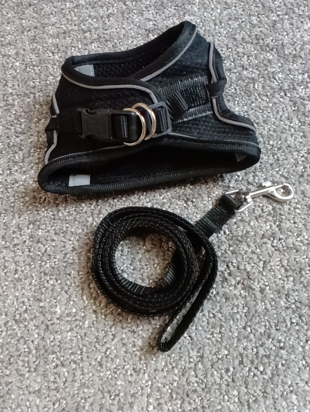 Black Reflective 🐶 Dog & 😺 Cat Harness and Leash Set Small Pet Size 2XS